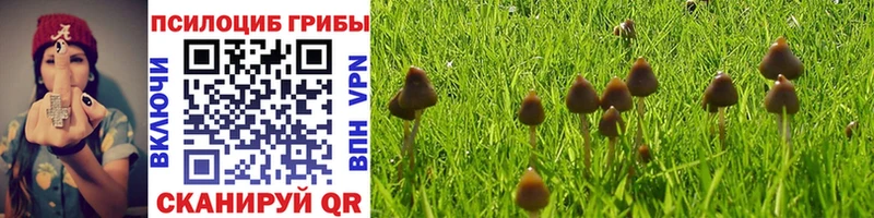 Псилоцибиновые грибы MAGIC MUSHROOMS  Выборг 