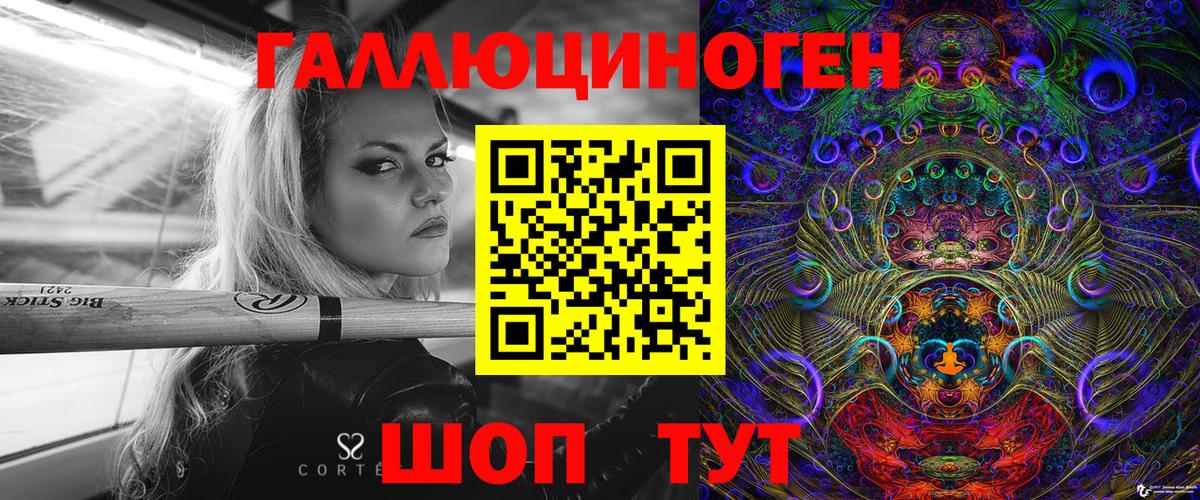 Выборг  Галлюциногенные грибы Psilocybine cubensis  Вход с VPN 