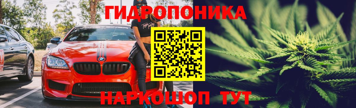 МАРИХУАНА SATIVA & INDICA  Вход с VPN  Бошки Шишки Bruce Banner  Выборг  Бошки Шишки план 